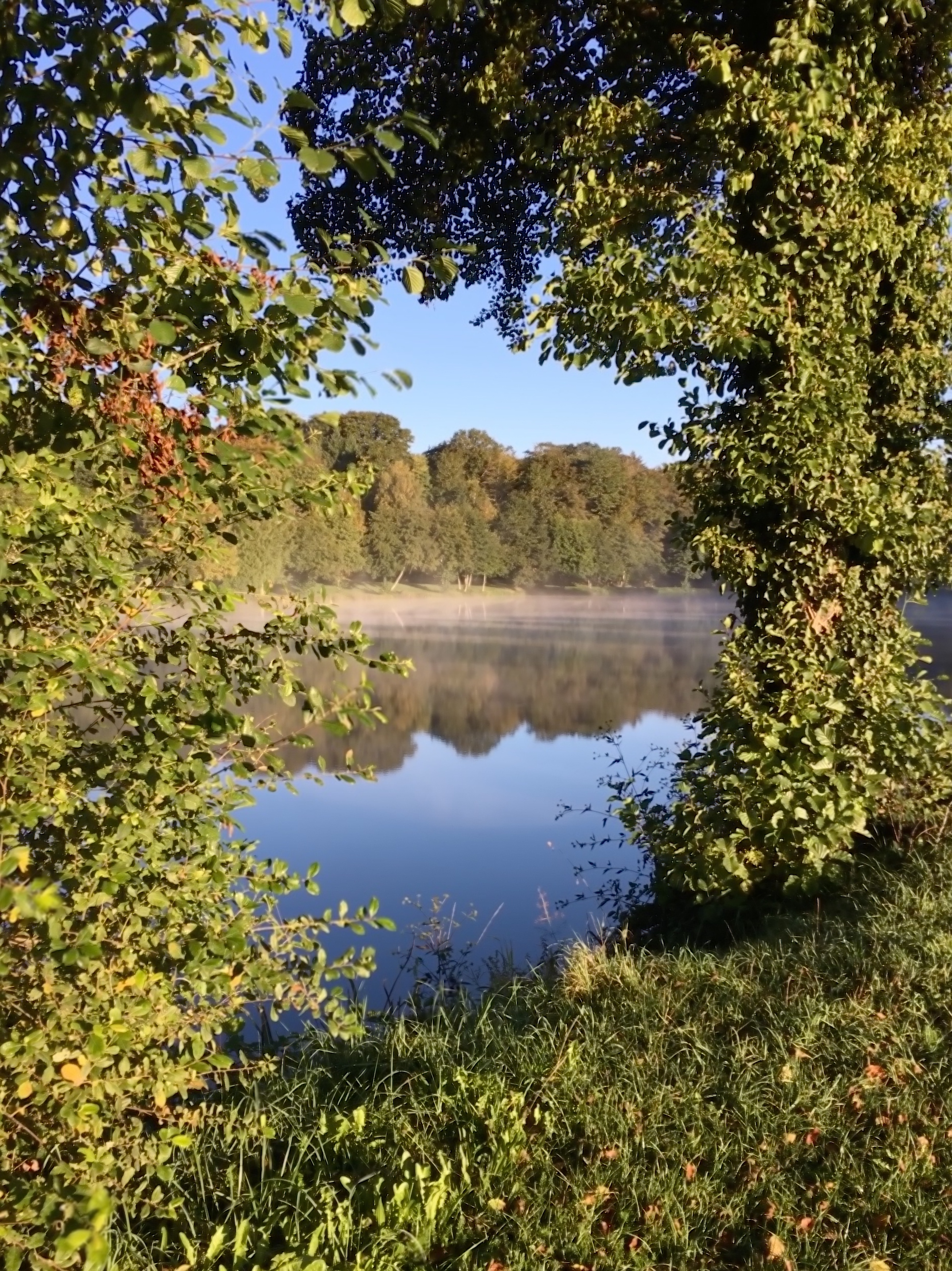 Vue du plan d'eau de Saint-Paul encadrée par les arbres