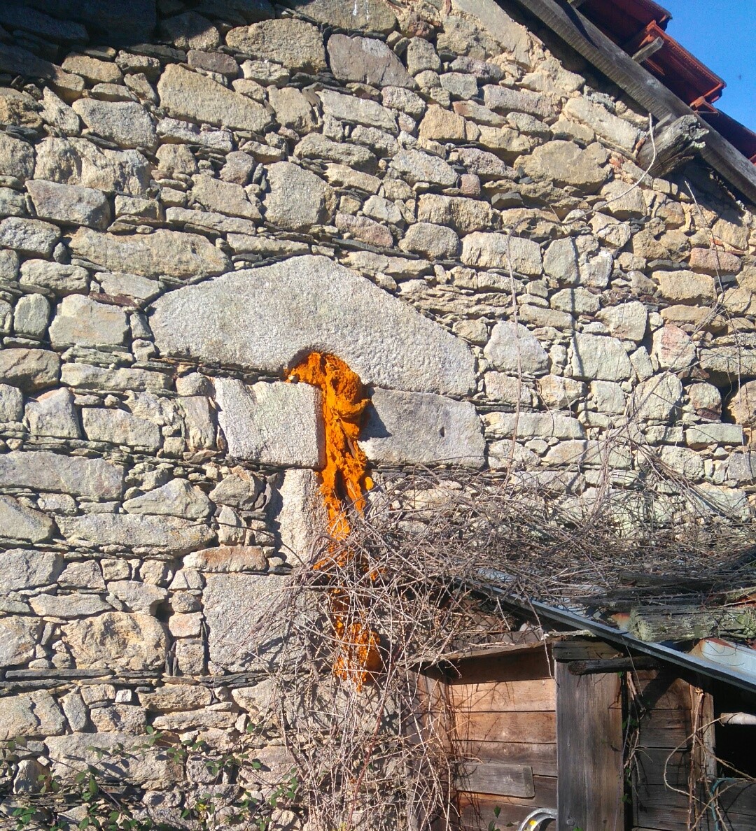 Vue associee au hameau de Le Nepoulaud